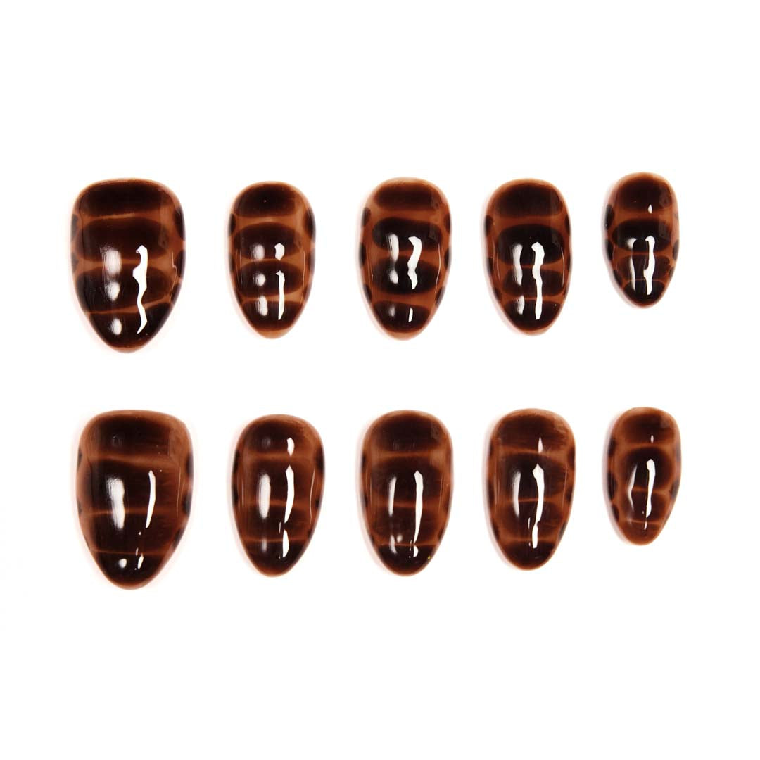 Amber-Tortoise Fluid Gradient Luxe