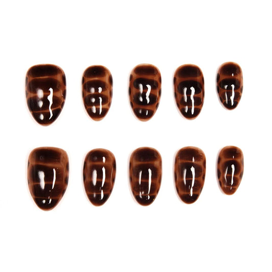 Amber-Tortoise Fluid Gradient Luxe